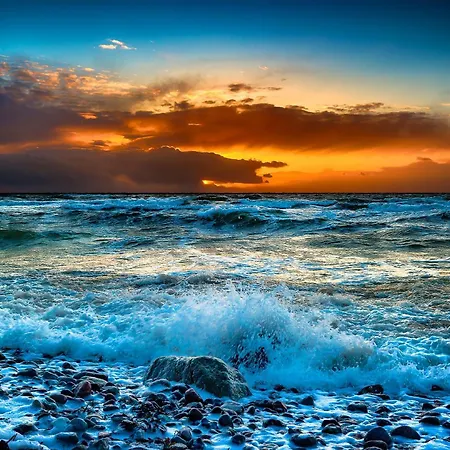 Auster Apartment Büsum